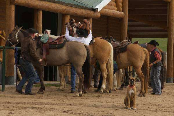 Colorado Mountain Activities | 4875 DTC Blvd #5, Denver, CO 80237 | Phone: (970) 547-1594