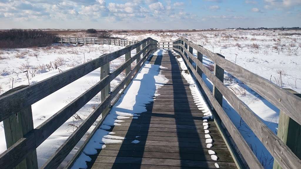 Theodore Roosevelt Nature Center, Jones Beach State Parks | Jones Beach Island, Wantagh, NY 11793, USA | Phone: (516) 780-3295