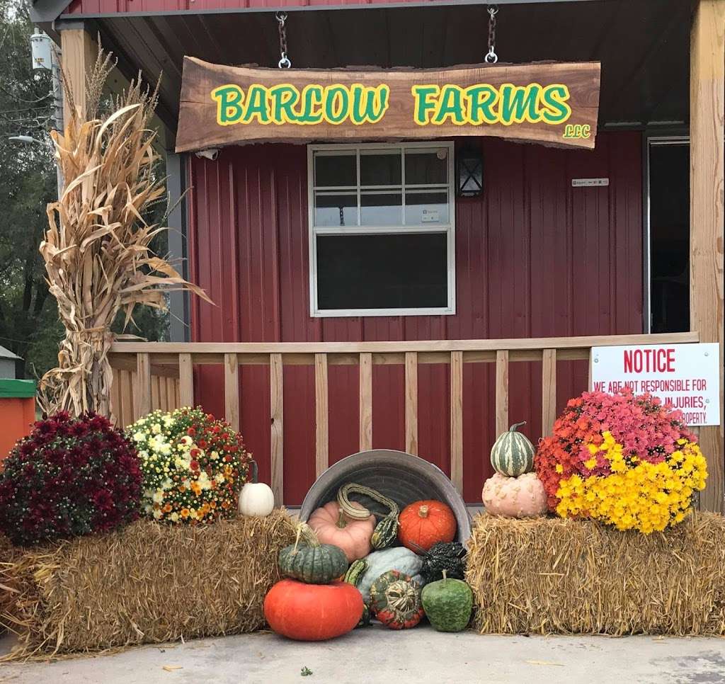 Barlow Farms LLC - Mums, Pumpkins & Gourds | 551 Clinton St, Osborn, MO 64474 | Phone: (816) 449-8082