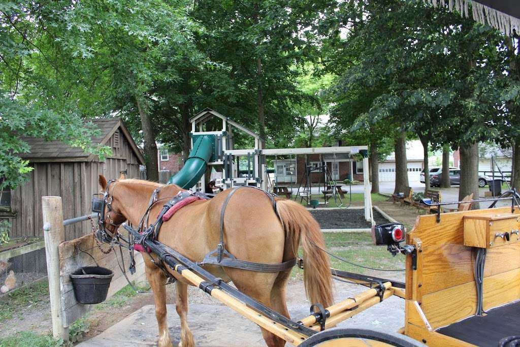 abe's buggy ride