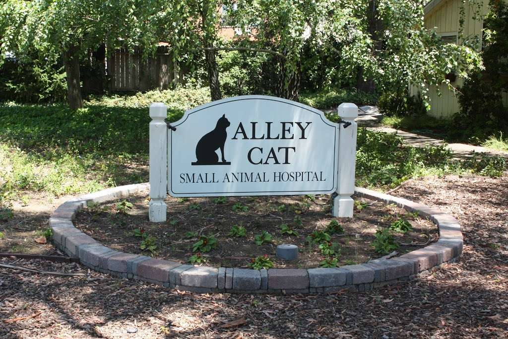 Alley Cat Small Animal Hospital | 1041 Wine Country Ave, Napa, CA 94558, USA | Phone: (707) 224-2525