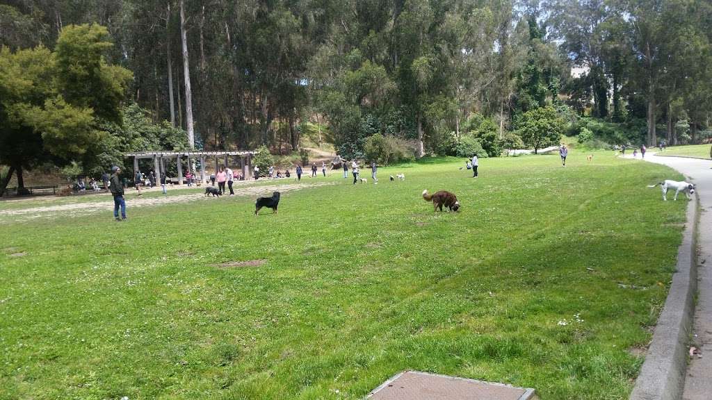 Stern Grove Dog Park | 100 Vale Ave, San Francisco, CA 94132, USA | Phone: (415) 831-2700