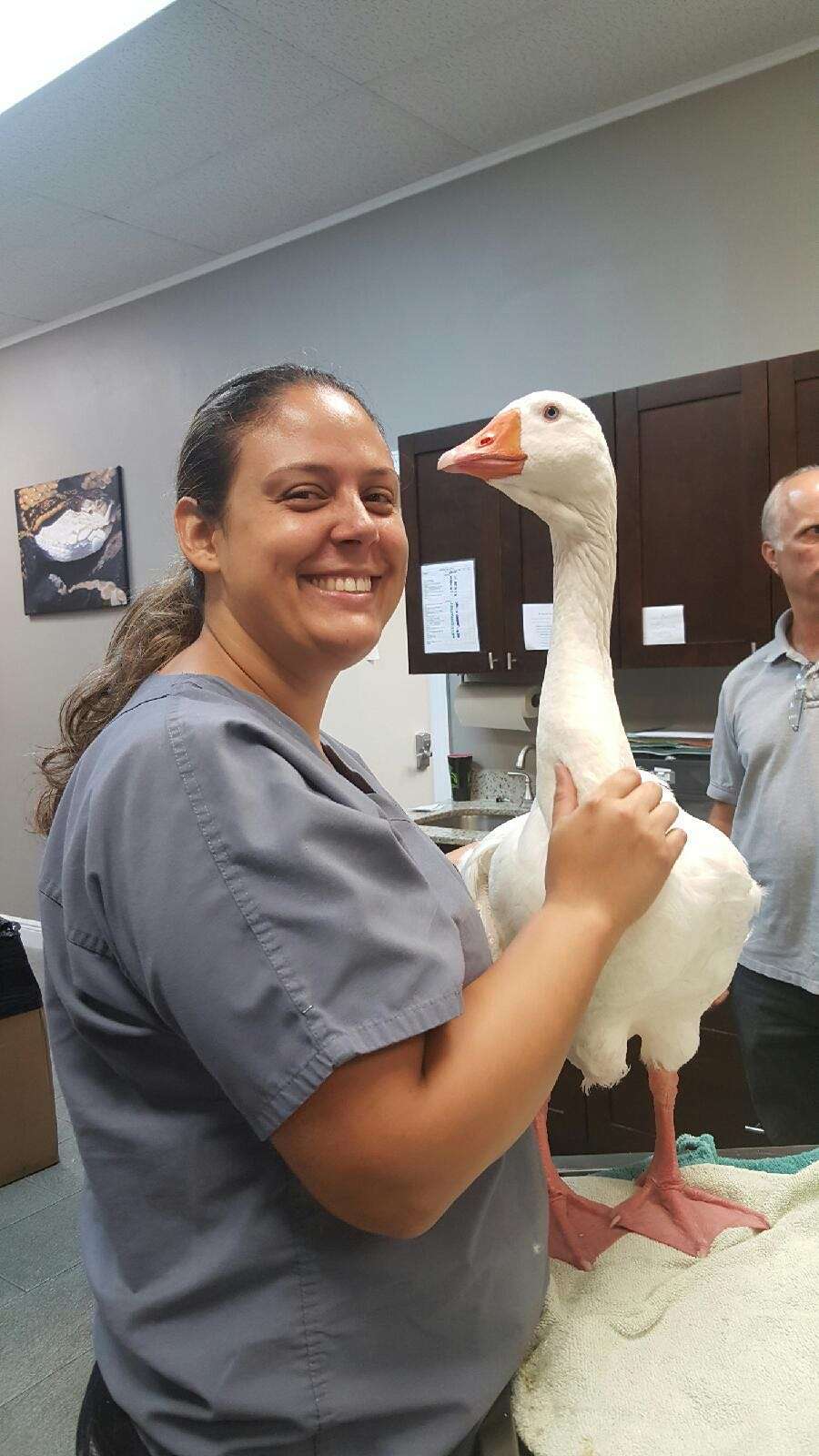 Animal House Veterinary Hospital | 12385 Pembroke Rd, Pembroke Pines, FL 33025 | Phone: (954) 885-7387