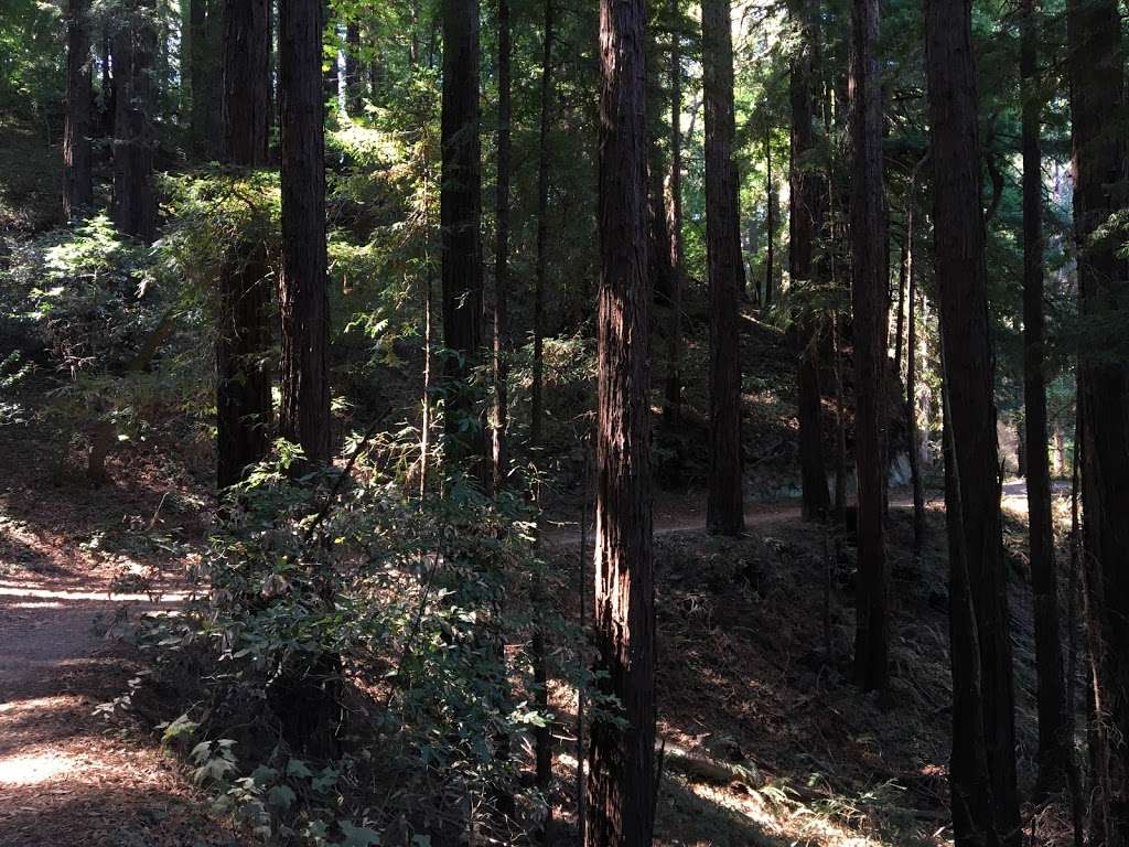 Enchanted Trail Trailhead | Santa Cruz, CA 95065, USA