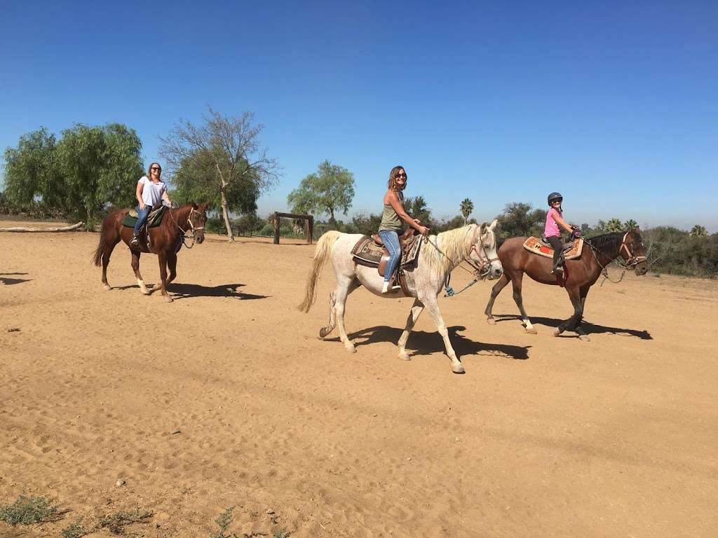 S&D Horseback Riding | 4886 California Ave, Norco, CA 92860 | Phone: (909) 645-1270