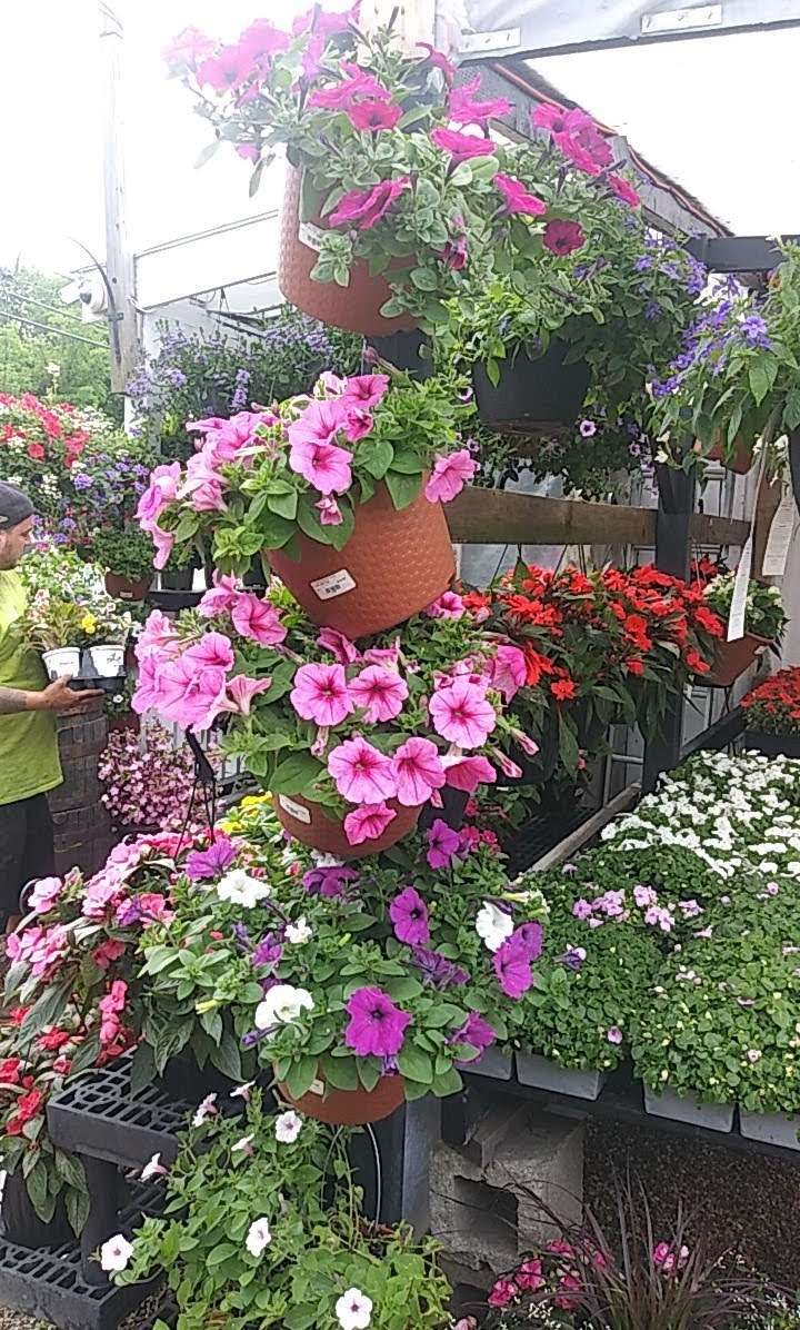 Flower Outlet | 503-509 Boston Rd, Billerica, MA 01821, USA | Phone: (978) 670-2948