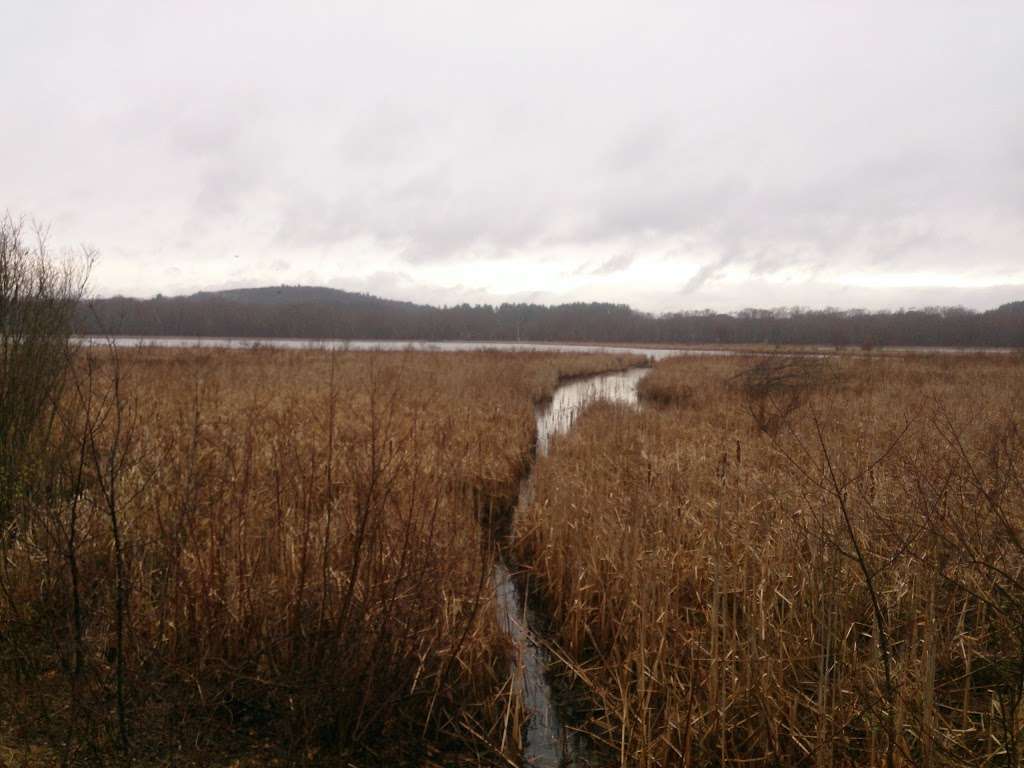 Great Meadow Park | Concord, MA 01742, USA