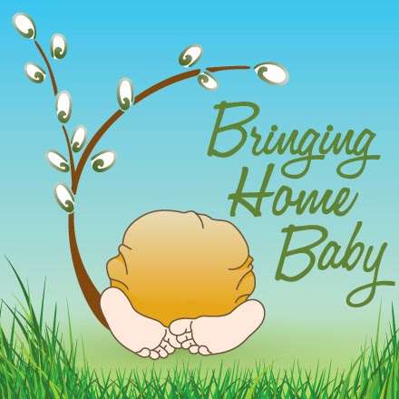 Bringing Home Baby | 11506 Lockhart Pl, Silver Spring, MD 20902, USA | Phone: (301) 906-6162