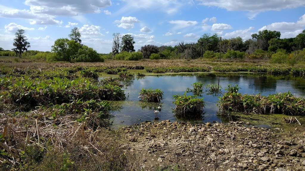 Polks Nature Discovery Center | Discovery Dr, Lakeland, FL 33803, USA | Phone: (863) 534-7377