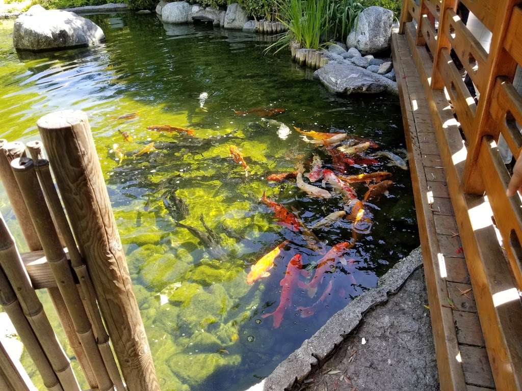 Japanese Garden | 3801 W Temple Ave, Pomona, CA 91768 | Phone: (909) 869-3030