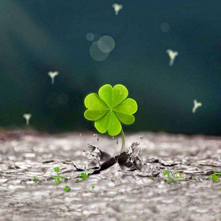 Gratts Elementary School | 309 Lucas Ave, Los Angeles, CA 90017, USA | Phone: (213) 250-2932 Gratts Elementary School | 309 Lucas Ave, Los Angeles, CA 90017, USA | Phone: (213) 250-2932