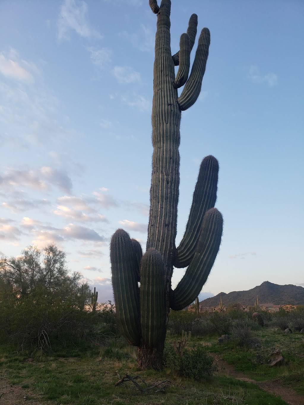 East Wing Mountain Trails | Sonoran Mountain Ranch Park, 7098 W Miner Trail, Peoria, AZ 85383, USA | Phone: (623) 773-7137