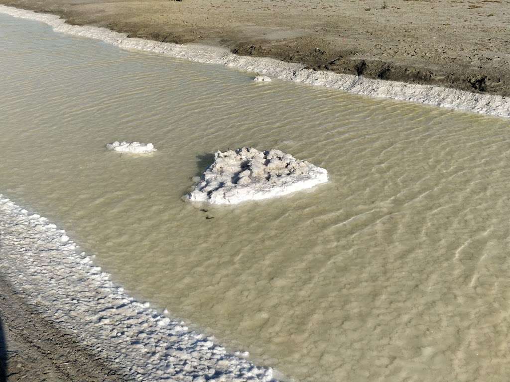 Bedwell Bayfront Park | 1600 Marsh Rd, Menlo Park, CA 94025, USA | Phone: (650) 330-2222