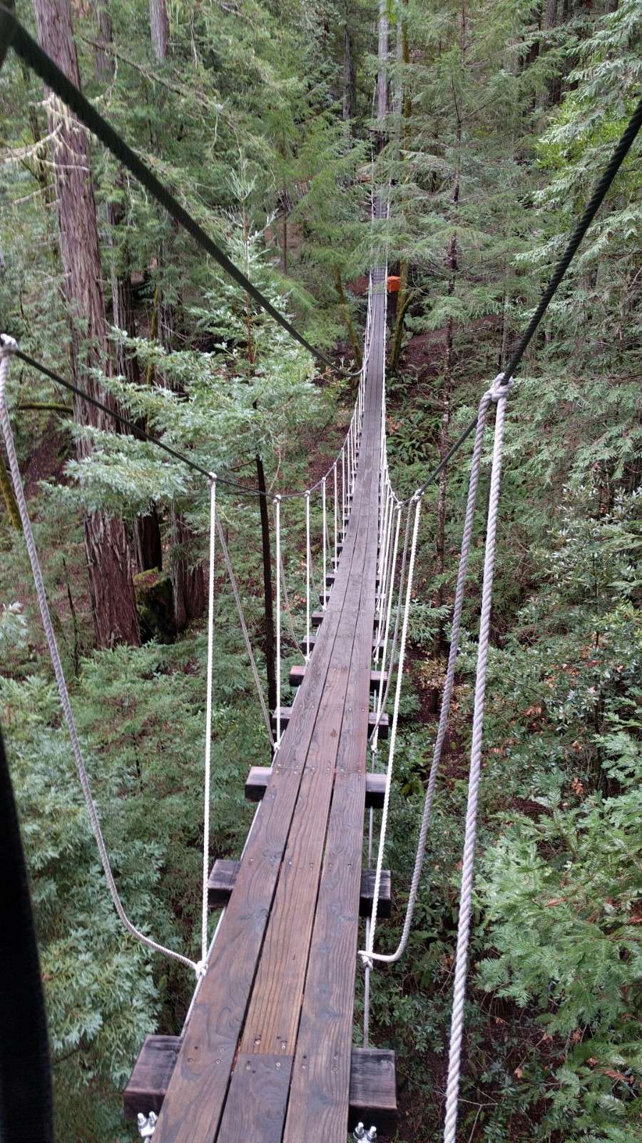 Sonoma Canopy Tours | 6250 Bohemian Hwy, Occidental, CA 95465, USA | Phone: (888) 494-7868