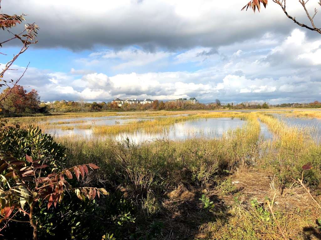 Billings Creek Salt Marsh Trail | Quincy, MA 02171