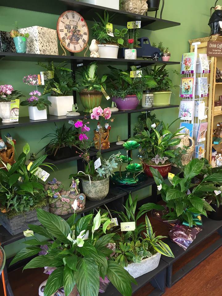 Enchanted Florist & Gifts | 9140 Alcosta Blvd b, San Ramon, CA 94583, USA | Phone: (925) 829-2157