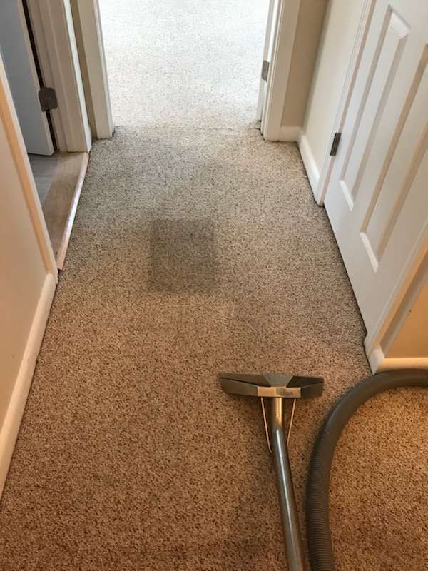 Ms. Carpet Clean | Carpet Cleaning Massachusetts | 30 Summit Rd, Saugus, MA 01906, USA | Phone: (781) 233-5800