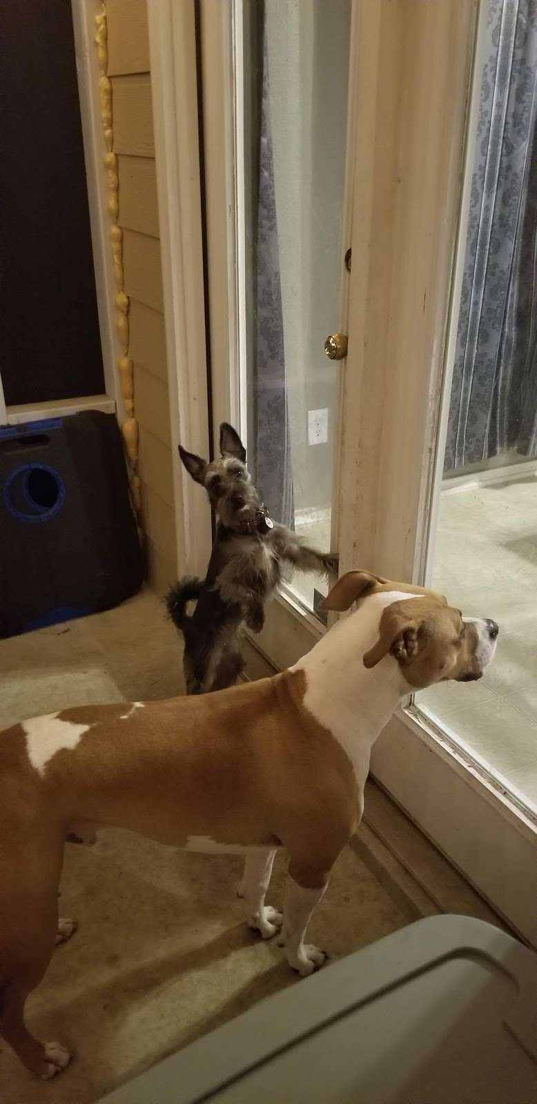 Acapulco Barber Shop | 4707 Pecan Valley Dr, San Antonio, TX 78223, USA