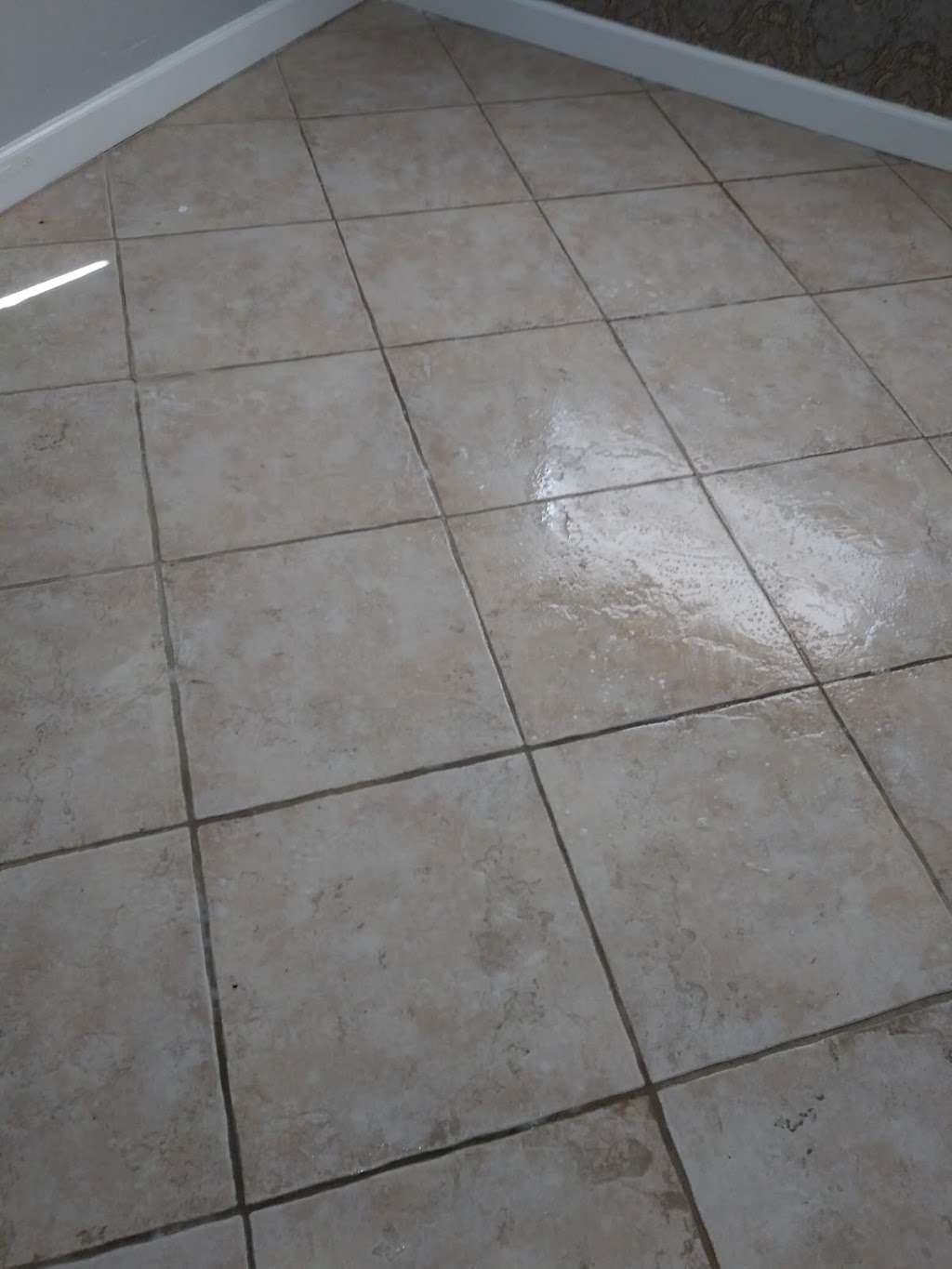 LM Professional Cleaning Services | 616 SW 6th St, Hallandale Beach, FL 33009, USA | Phone: (786) 506-4381