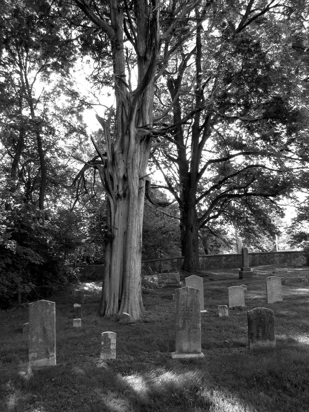 Nineveh Presbyterian Cemetery | 39°0045.N W, 7810 Co Rd 6/04, Front Royal, VA 22630, USA