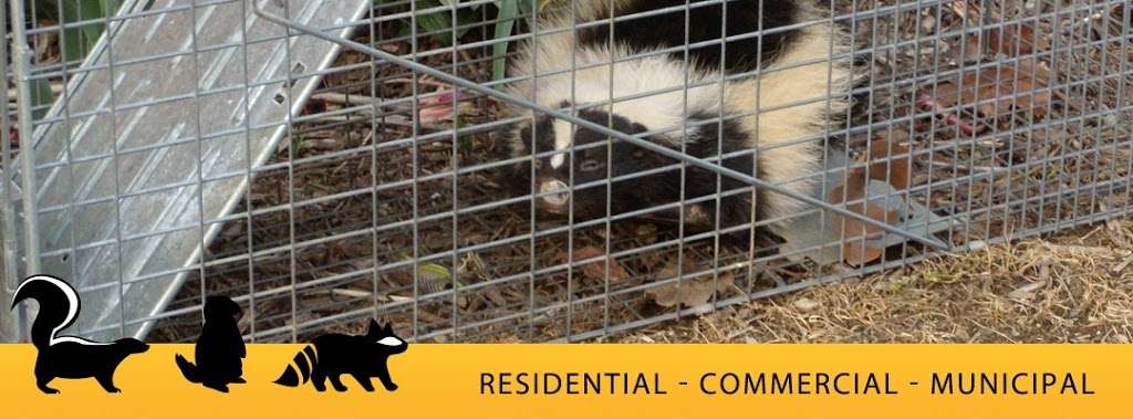 Wildlife Pest Control | 4508 Darby St, Center Valley, PA 18034 | Phone: (610) 797-7944