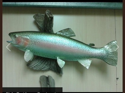 Trails End Taxidermy LLC | 265 Woodward Rd, Manalapan Township, NJ 07726, USA | Phone: (732) 718-2952