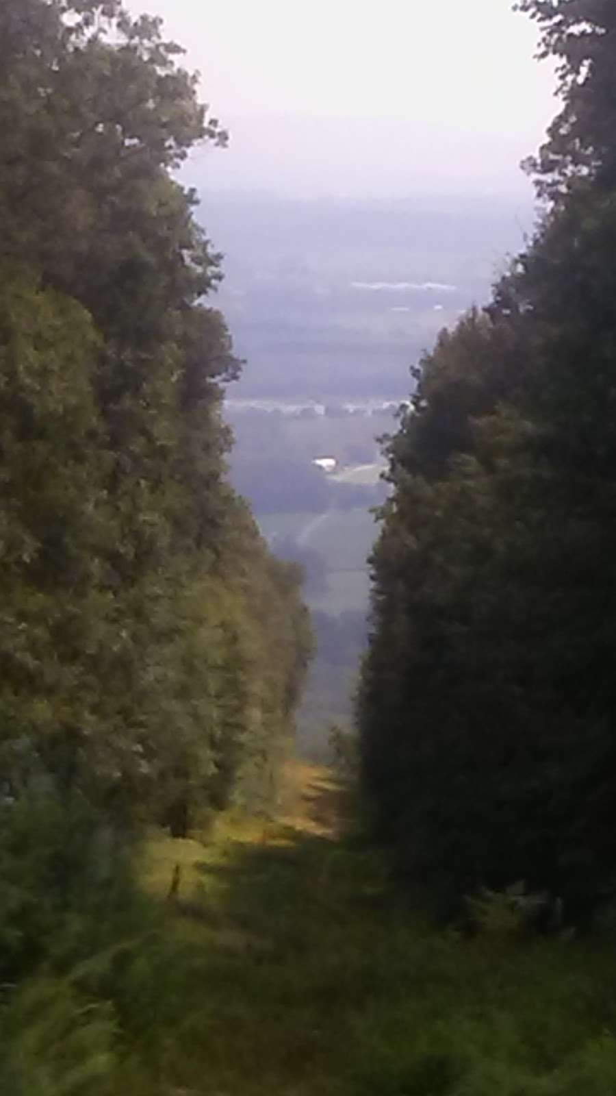 AT Crossing Utility Cut | Appalachian Trail, Bethel, PA 19507, USA