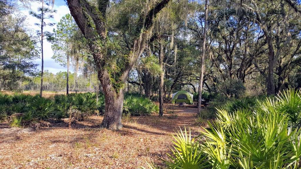 Foster Bridge Campsite (Backcountry) | Dade City, FL 33525, USA