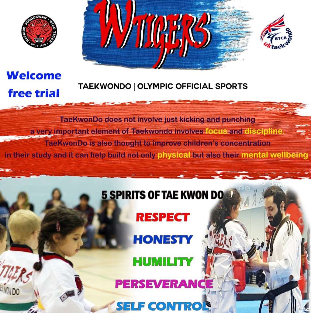 Wild Tigers Taekwondo Roehampton | laverstoke gardens roehampton, putney, Wimbledon, London SW15 4JB, UK | Phone: 07498 718630