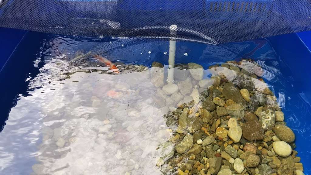 Pond Country | 182 E Plaza Dr, Mooresville, NC 28115, USA | Phone: (980) 247-2999