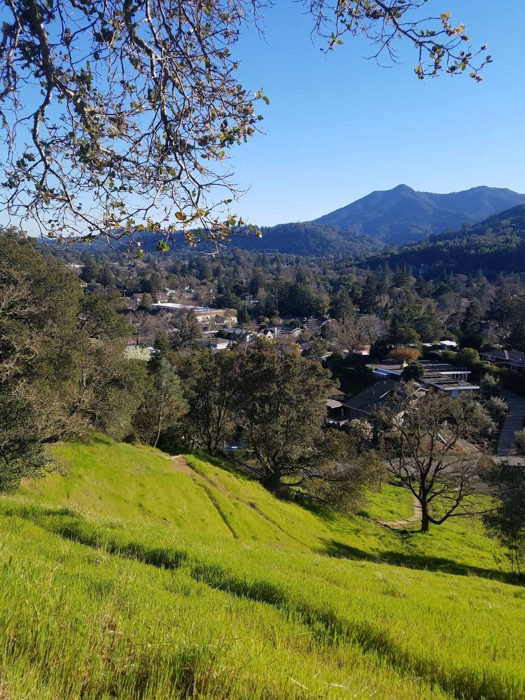 Faude Park | San Anselmo, CA 94960