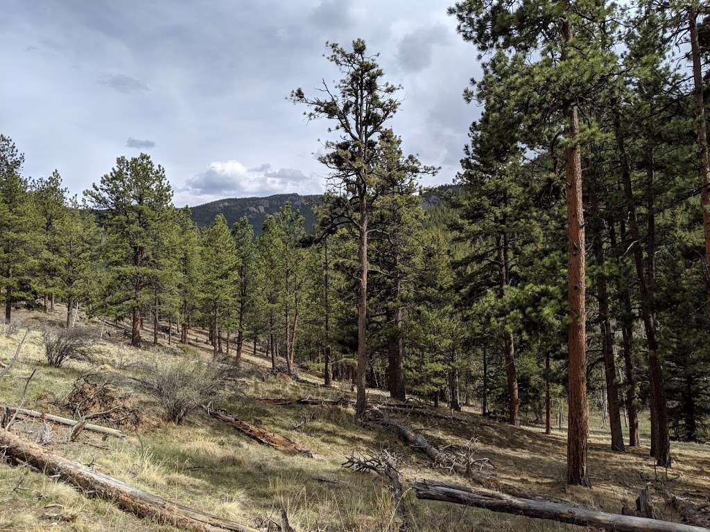 Brookside-McCurdy Trailhead | Bailey, CO 80421, USA