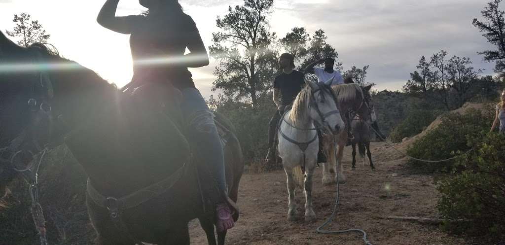 Southern California Horseback Trail Rides (American Jousting All | 15568 Greenleaf Springs Rd, Frazier Park, CA 93225 | Phone: (661) 245-4000