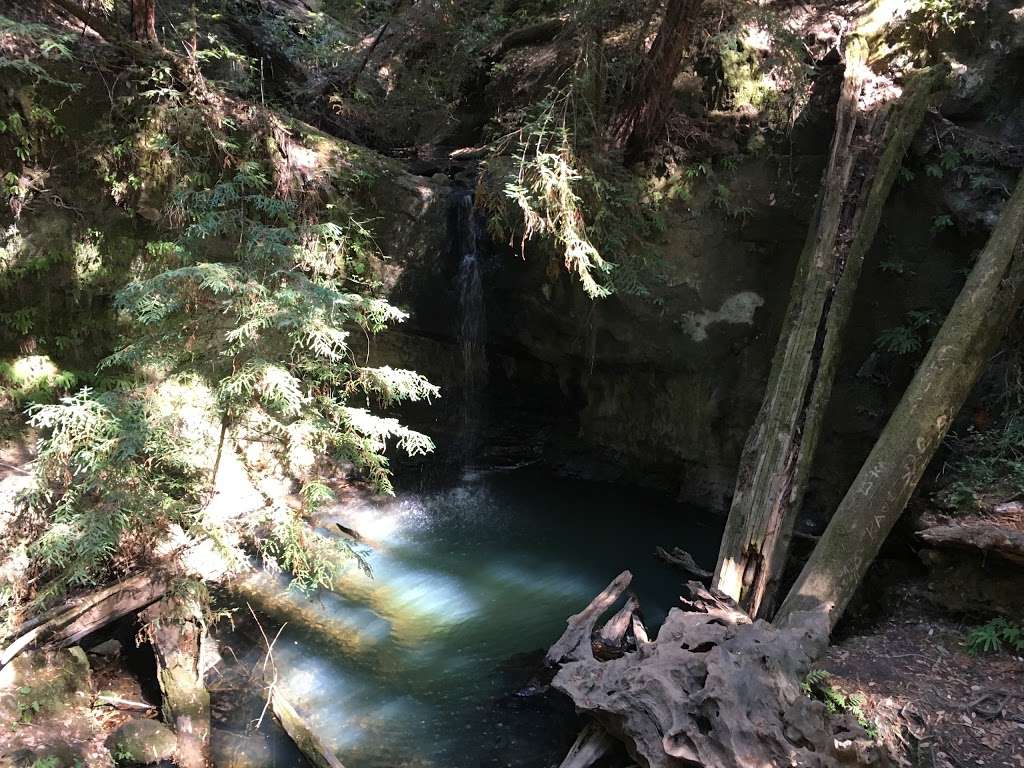 Sempervirens Falls | Sempervirens Falls Trail, Boulder Creek, CA 95006