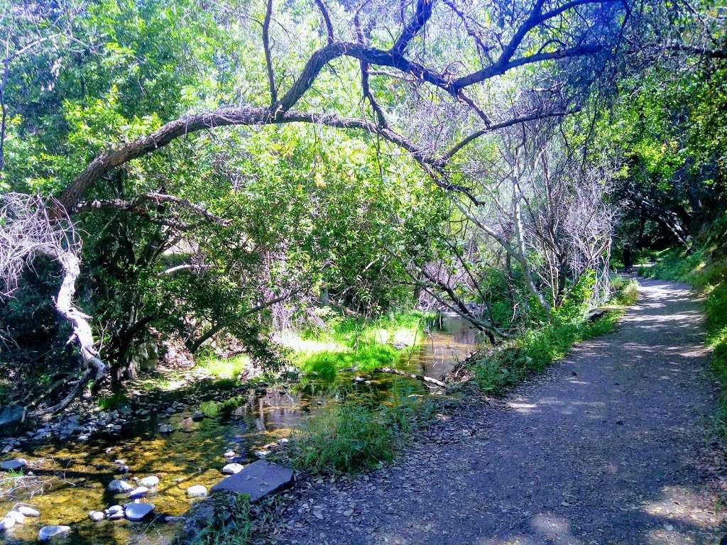 Alum Rock Park | 15350 Penitencia Creek Rd, San Jose, CA 95127, USA | Phone: (408) 259-5477