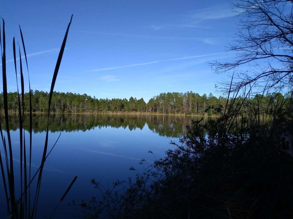 Longleaf Pine Preserve | Unnamed Road, DeLand, FL 32724, USA | Phone: (386) 740-5261