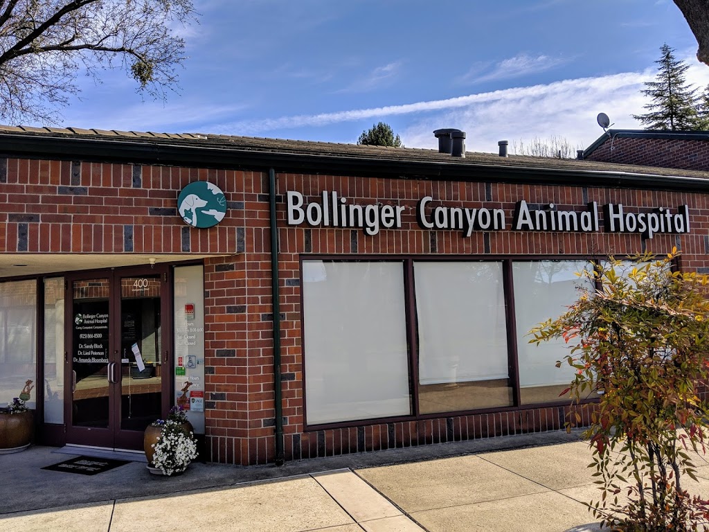 Bollinger Canyon Animal Hospital | 400 Montgomery St, San Ramon, CA 94583, USA | Phone: (925) 866-8500