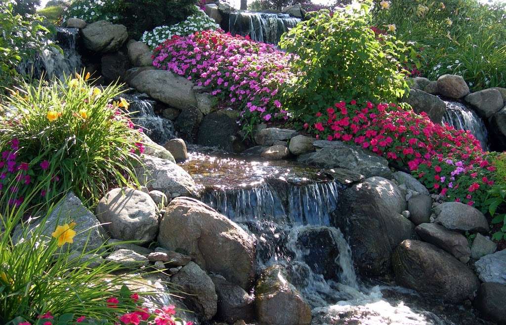 New England Water Gardens | 166 Prospect Ave, Revere, MA 02151, USA | Phone: (617) 515-2032