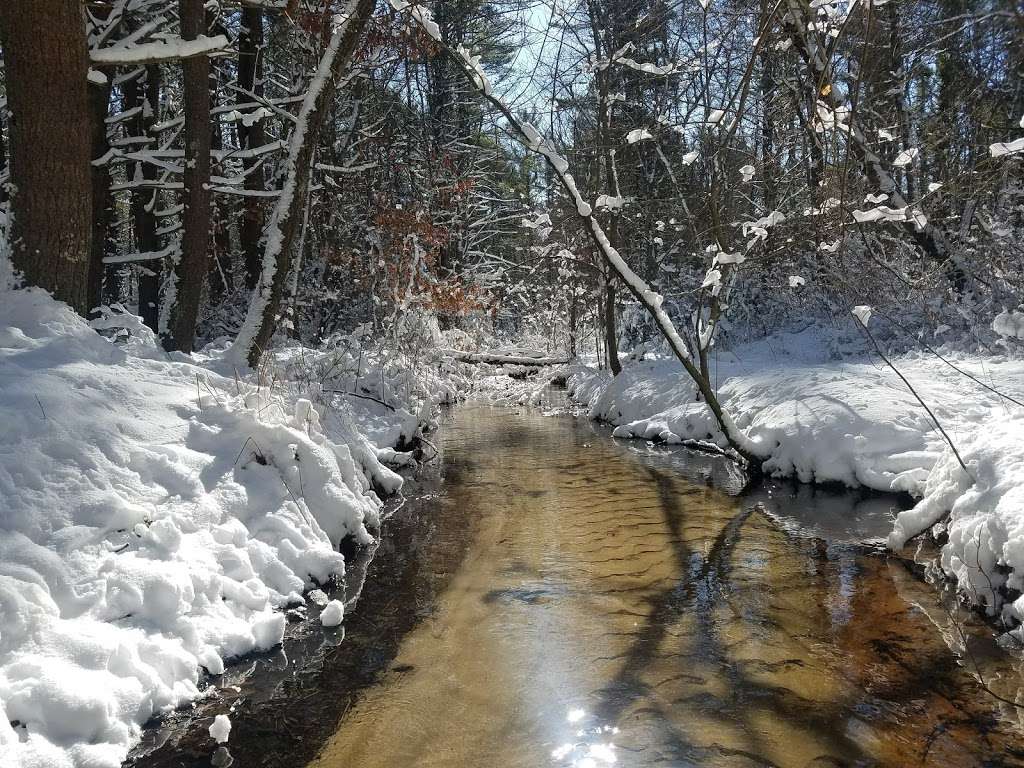 Trout Farm Conservation Land | Duxbury, MA 02332, USA