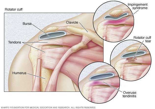 Interactive Chiropractic Health and Wellness | 1645 S River Rd #16, Des Plaines, IL 60018, United States | Phone: (847) 912-7927