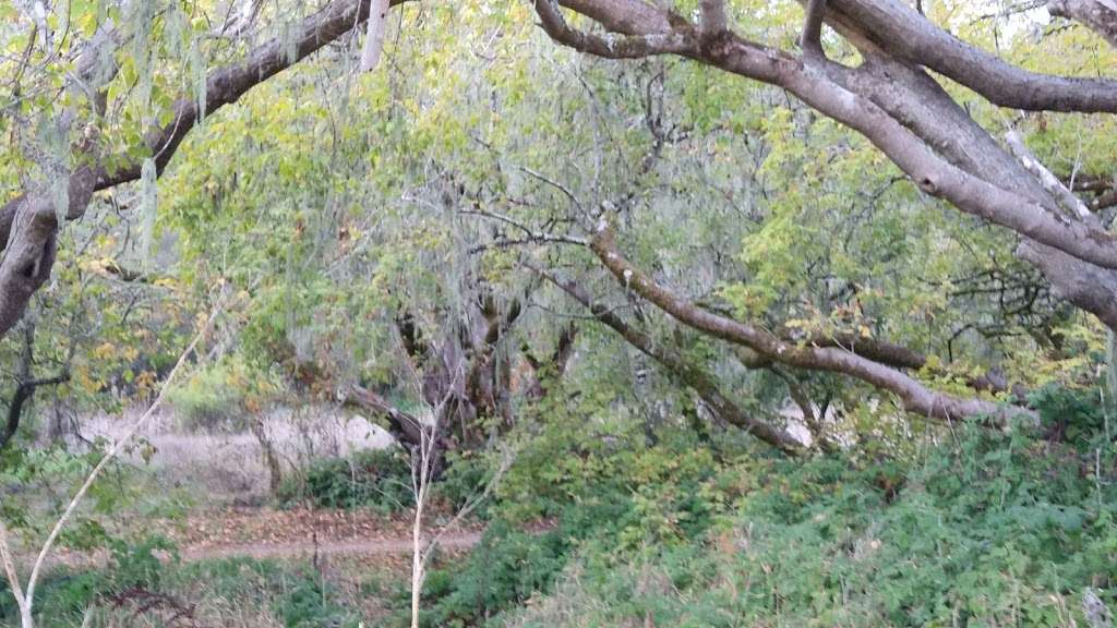 White House Pool Park | Sir Francis Drake Blvd, Point Reyes Station, CA 94956, USA | Phone: (415) 473-6387