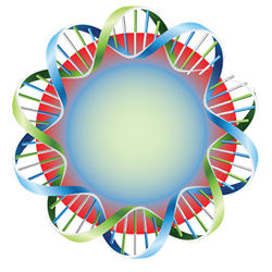 Telomere Biosciences LLC | 10 North St, Cold Spring, NY 10516, USA