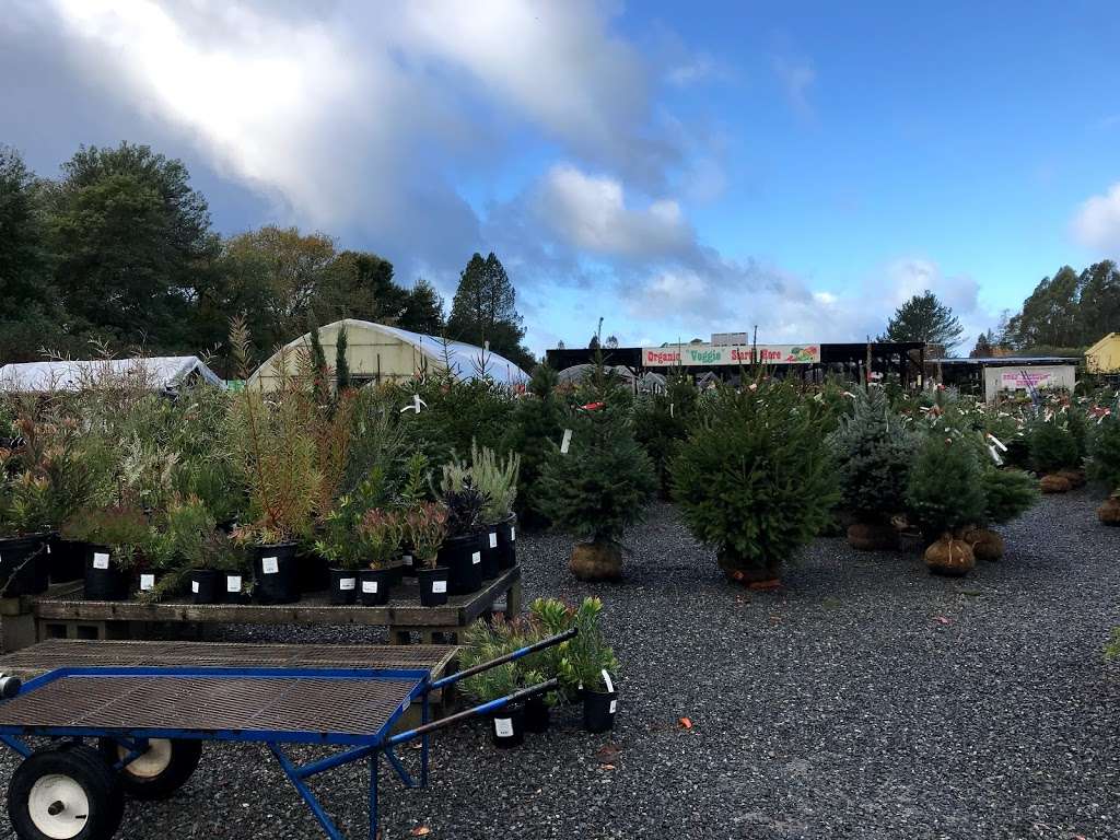 Harmony Farm Supply & Nursery | 3244 Gravenstein Hwy N, Sebastopol, CA 95472, USA | Phone: (707) 823-9125