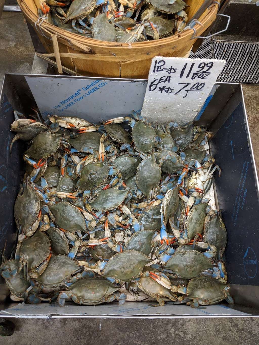 Fong & Zhou Supermarket Inc | 8514 18th Ave, Brooklyn, NY 11214, USA | Phone: (718) 872-7022 Fong & Zhou Supermarket Inc | 8514 18th Ave, Brooklyn, NY 11214, USA | Phone: (718) 872-7022
