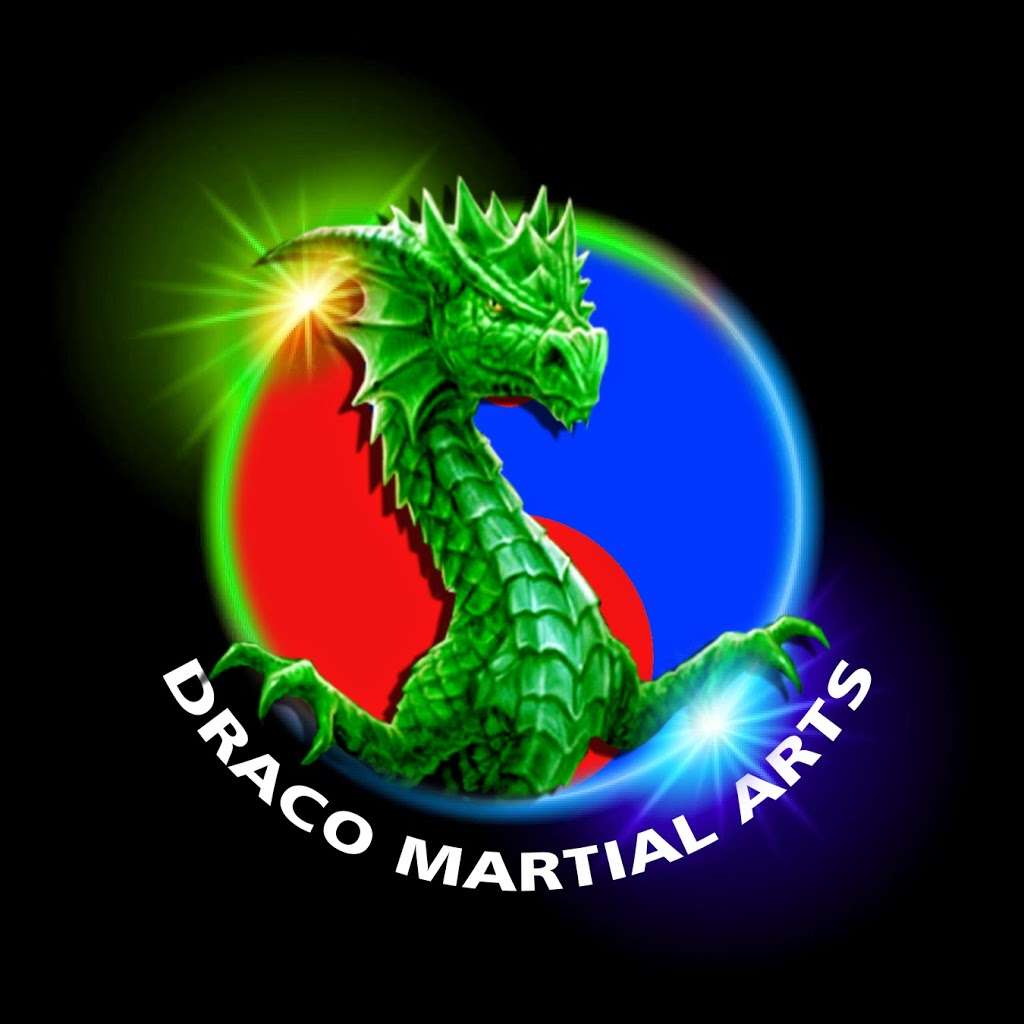 Draco Academy of Martial Arts | 14785 101st Ave, Dyer, IN 46311, USA | Phone: (219) 558-8228