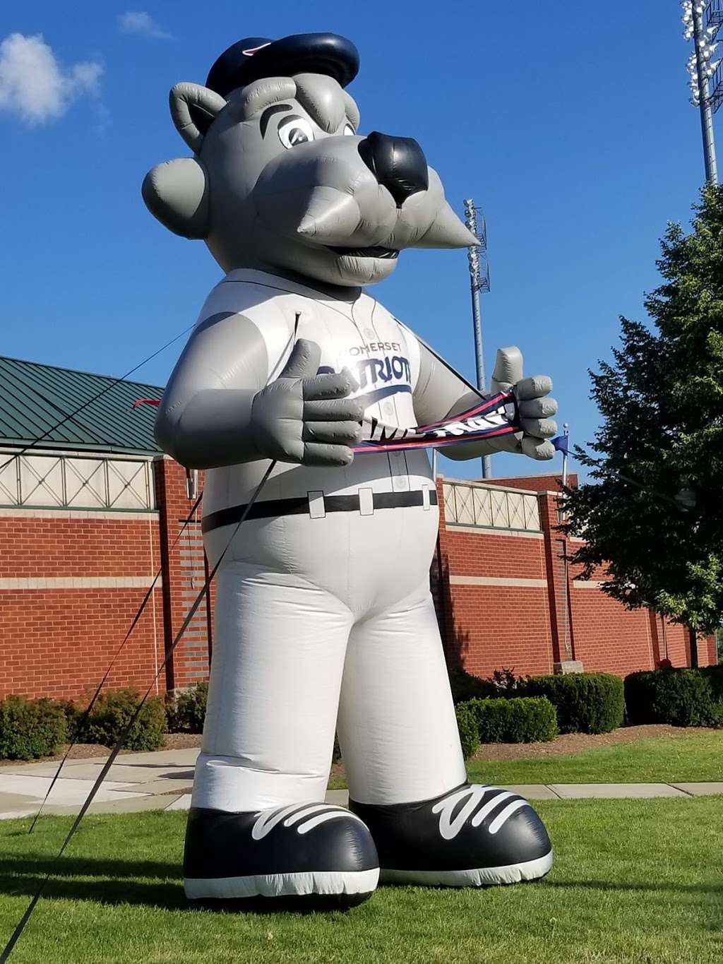 Somerset Patriots Baseball | 1 Patriots Park, Bridgewater, NJ 08807, USA | Phone: (908) 252-0700