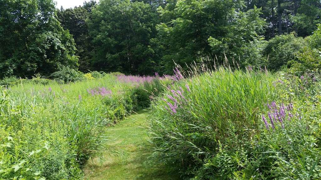 Acton Arboretum | 2 Taylor Rd, Acton, MA 01720, USA | Phone: (978) 264-9631