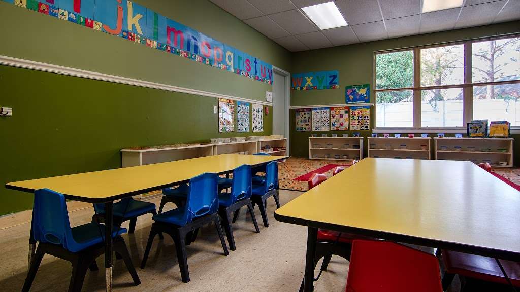 Montessori School of Downtown | 15625 Space Center Blvd, Houston, TX 77062, USA | Phone: (281) 488-7599