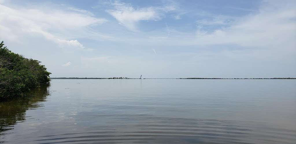 Horseshoe Crab Island | Titusville, FL 32796, USA