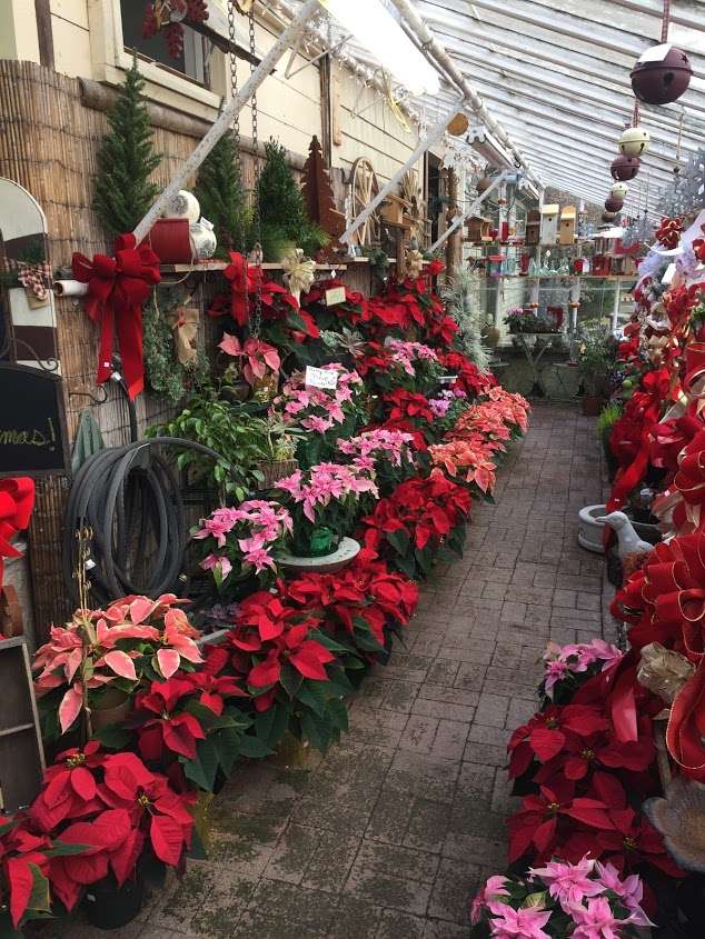 Crystal Lake Garden Shop | 252 Summer St, Plymouth, MA 02360, USA | Phone: (508) 746-4439